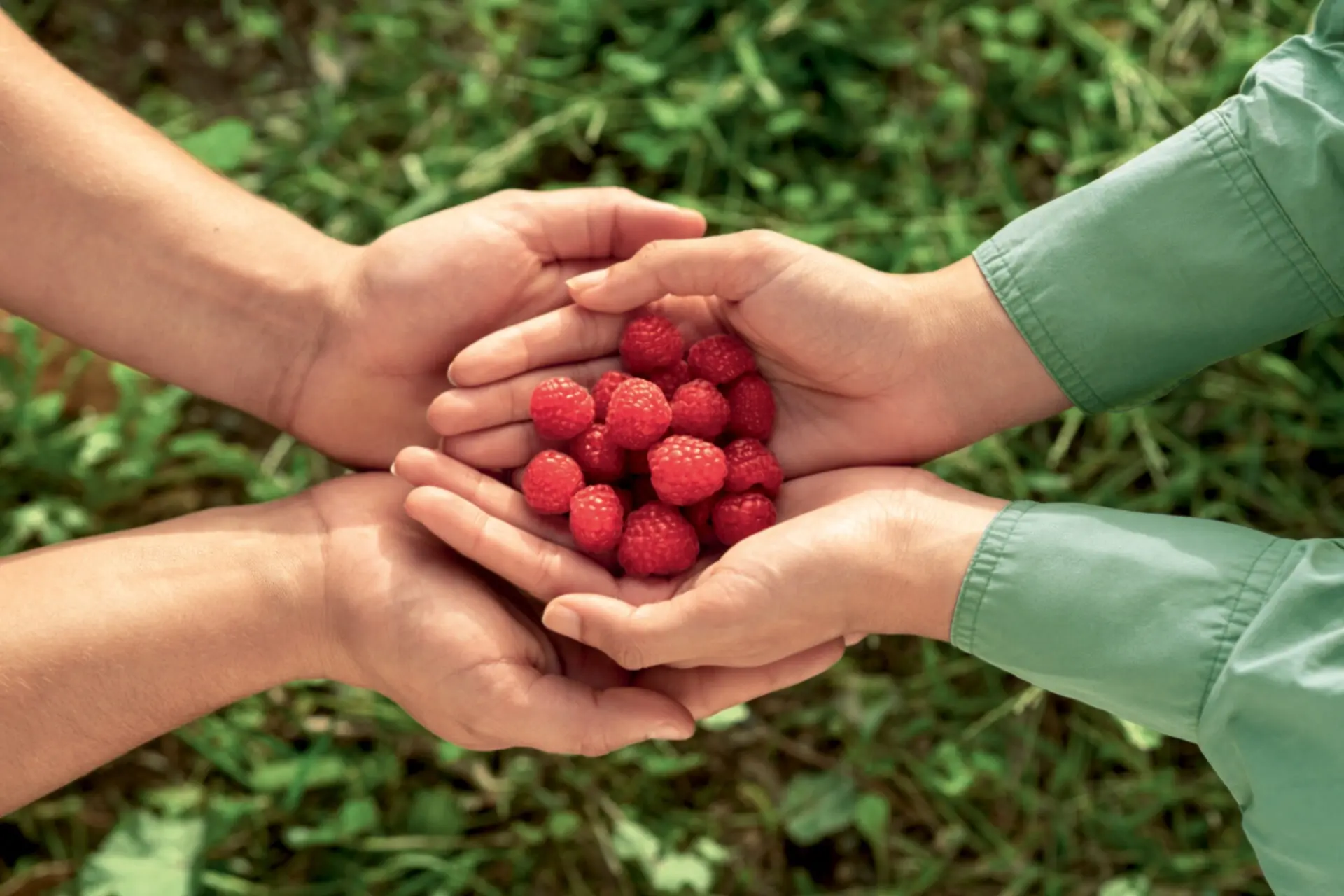 Case Study - Les vergers boiron