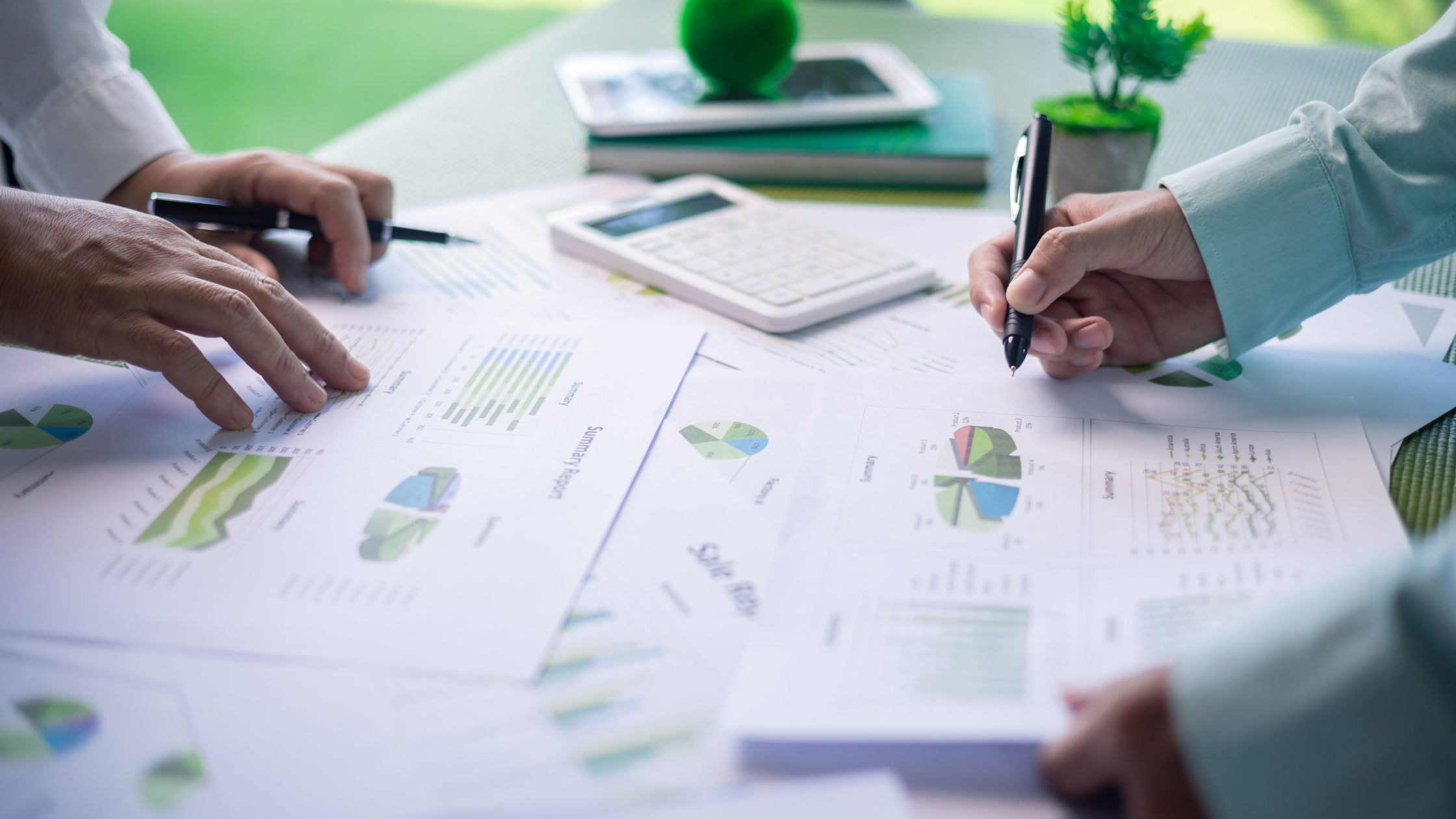 decision maker azienda per gestione sustainable procurement